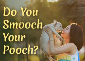 Do you smooch your pooch?